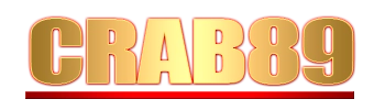 Logo Crab89
